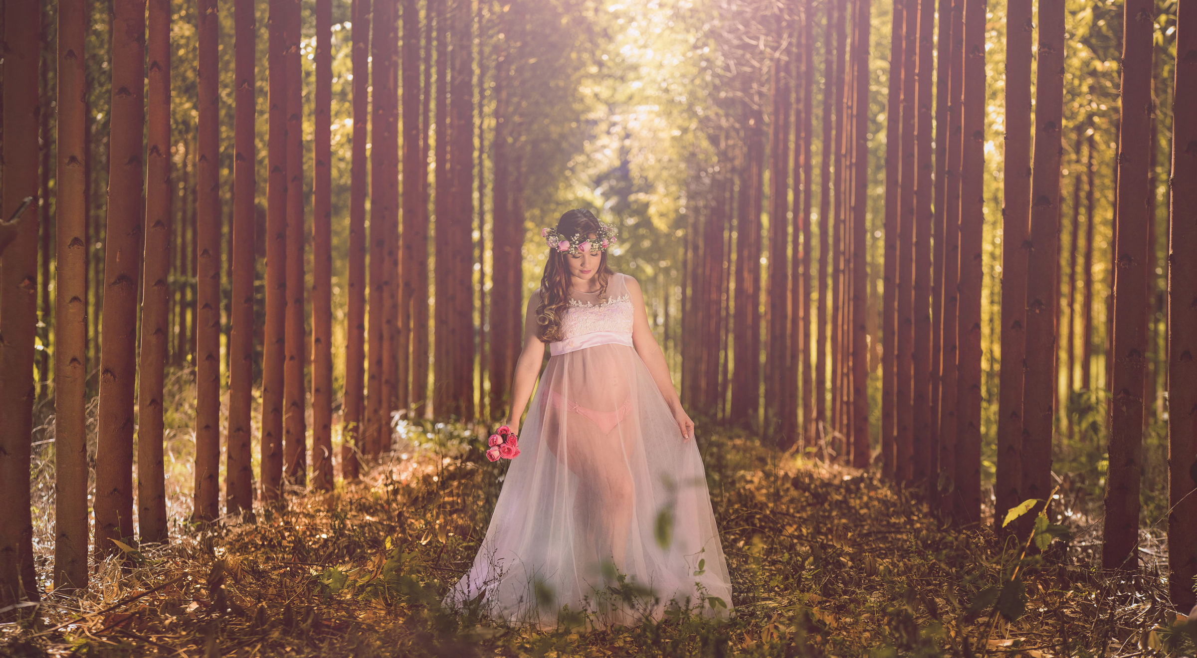 Foto de Faccini Studio 5